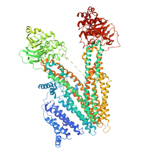 PDB 8HVH