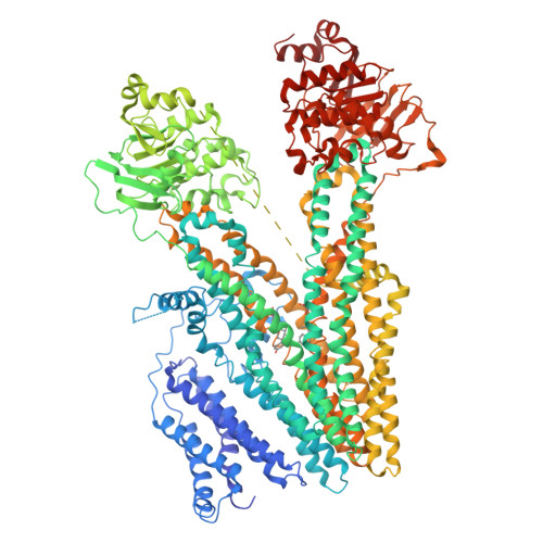 RCSB PDB - 8HW2: Cryo-EM structure of beta-estradiol 17-(beta-D ...