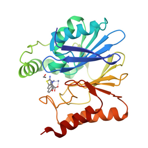 RCSB PDB - 8HXN: Crystal structure of B2 Sfh-I MBL in complex with 2 ...