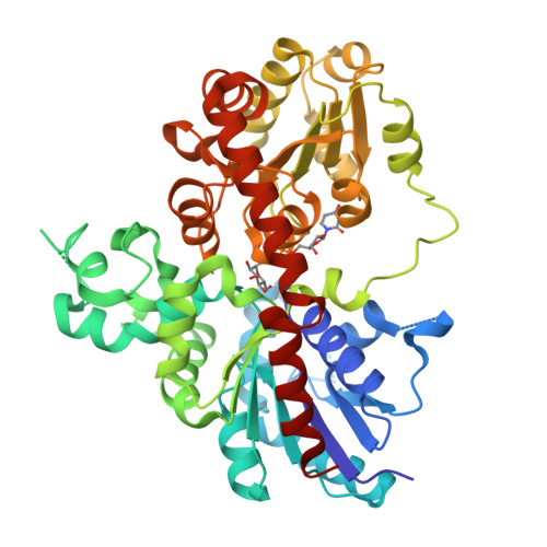 RCSB PDB - 8I0D: Sb3GT1 375S/Q377H mutant complex with UDP-Glc