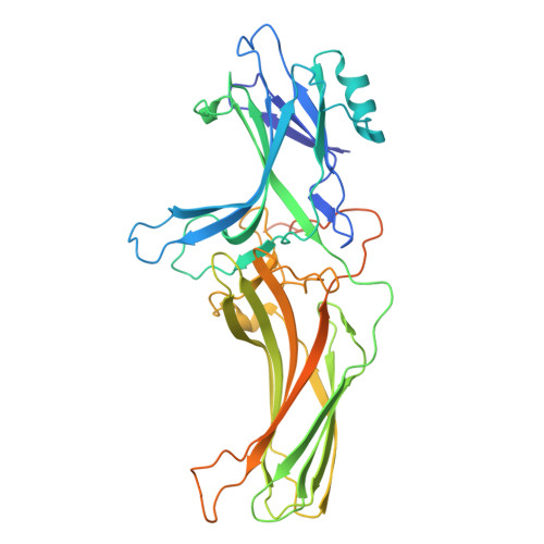 download cell structure