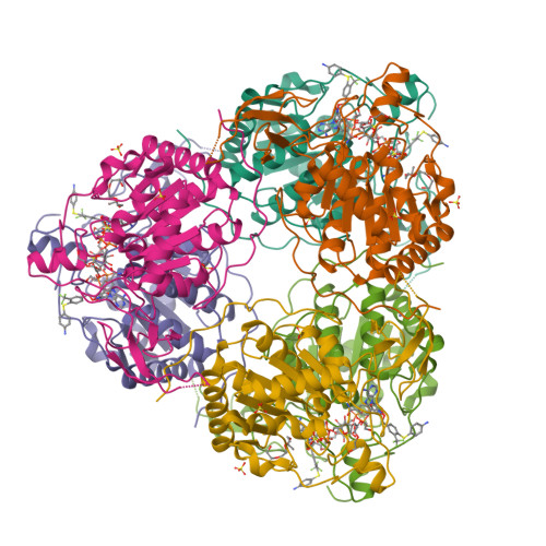 RCSB PDB - 8I2B: Human SIRT6 In Complex With Inhibitor 7702