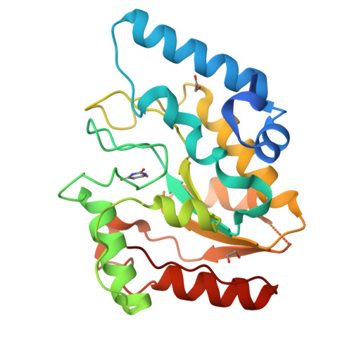 RCSB PDB - 8I63: Crystal structure of Mycobacterium tuberculosis Uracil ...