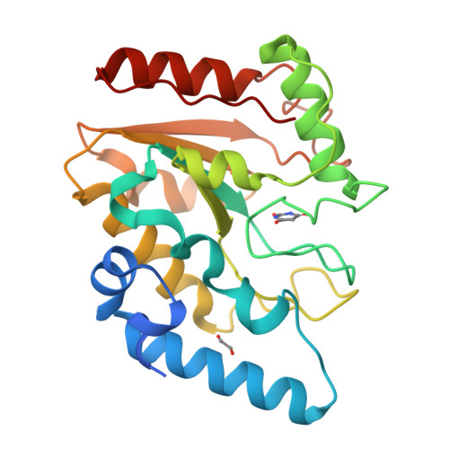 RCSB PDB - 8I64: Crystal structure of Mycobacterium tuberculosis Uracil ...