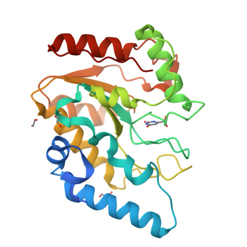 RCSB PDB - 8I6A: Crystal structure of Mycobacterium tuberculosis Uracil ...