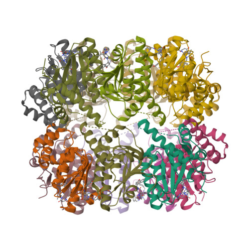 RCSB PDB 8I7X Crystal Structure Of Human ClpP In Complex With ZG36