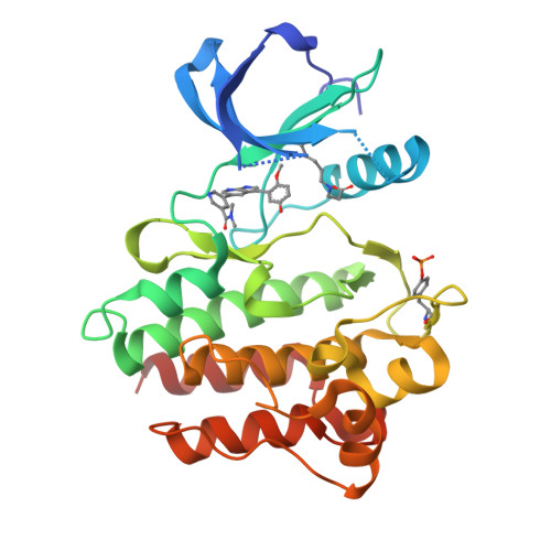 RCSB PDB - 8I7Z: The crystal structure of human abl1 kinase domain in ...