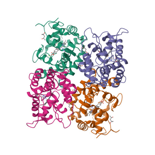 RCSB PDB - 8IAG: Crystal structure of rDcaUPO A161C mutant from ...