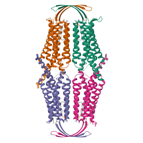 RCSB PDB - 8IEQ: Cryo-EM structure of G-protein free GPR156