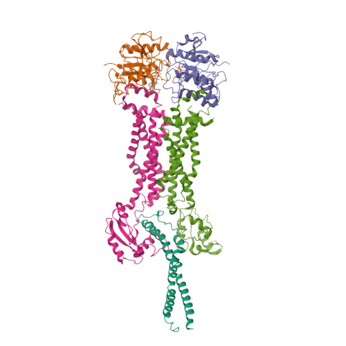 RCSB PDB - 8IGQ: Cryo-EM Structure Of Mycobacterium Tuberculosis ADP ...