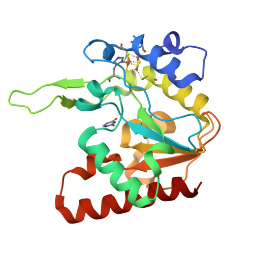 RCSB PDB - 8IIE: Complex form of MsmUdgX and uracil- obtained from ...