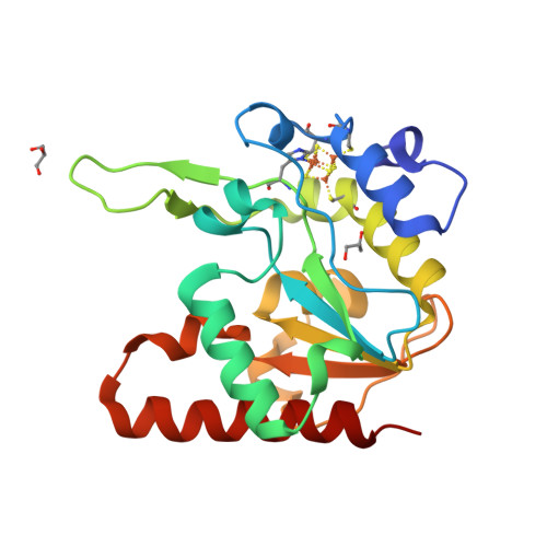 RCSB PDB - 8IIF: H109A mutant of uracil DNA glycosylase X