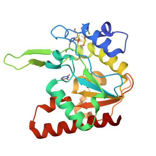 RCSB PDB - 8IIG: Complex form of MsmUdgX H109A mutant and uracil ...