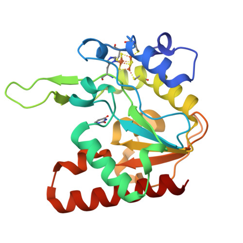 RCSB PDB - 8IIL: Complex form of MsmUdgX H109G mutant and uracil ...