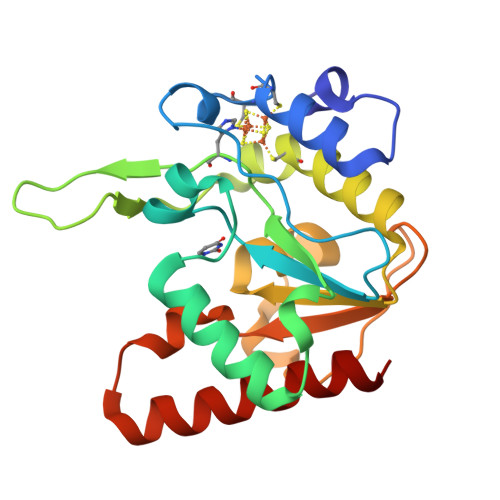 RCSB PDB - 8IIN: Complex form of MsmUdgX H109K mutant and uracil ...