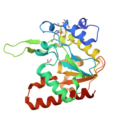 イラスト Deoxy.Hb' イラスト Deoxy.Hb' PDB-101: Geis Archive: Deoxyhemoglobin