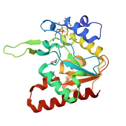 RCSB PDB - 8IIP: Complex form of MsmUdgX H109Q mutant and uracil ...