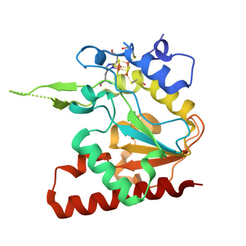 RCSB PDB - 8IIQ: MsmUdgX H109S/E52N double mutant