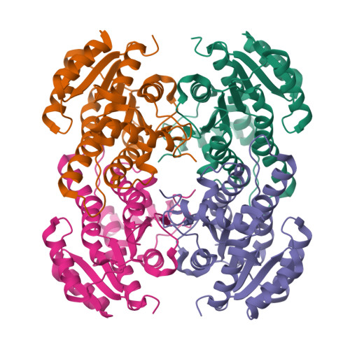 RCSB PDB - 8IJ8: Crystal structure of alcohol dehydrogenase M4 mutant ...