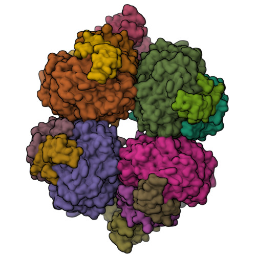 RCSB PDB - 8ILB: The complexes of RbcL, AtRaf1 and AtBSD2 (LFB)