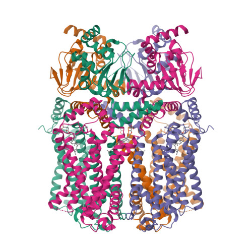 Hcn3 RCSB PDB - 8INZ: Cryo-EM structure of human HCN3 channel in apo state