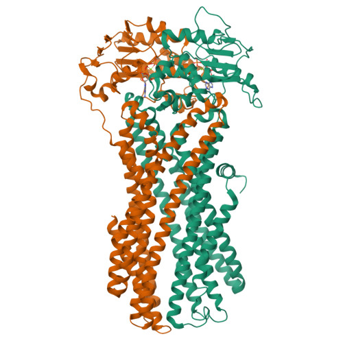 Rcsb Pdb 8ipr Cryo Em Structure Of Heme Transporter Cyddc From Mycobacterium Smegmatis In The