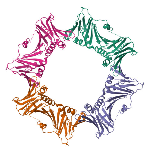 Rcsb Pdb 8ite Crystal Structure Of Pe301r From African Swine Fever Virus