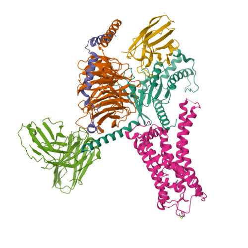 RCSB PDB - 8ITF: Cryo-EM structure of the DMCHA-bound mTAAR9-Gs complex