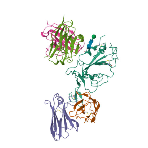 RCSB PDB - 8IV5: Cryo-EM structure of SARS-CoV-2 spike protein in ...