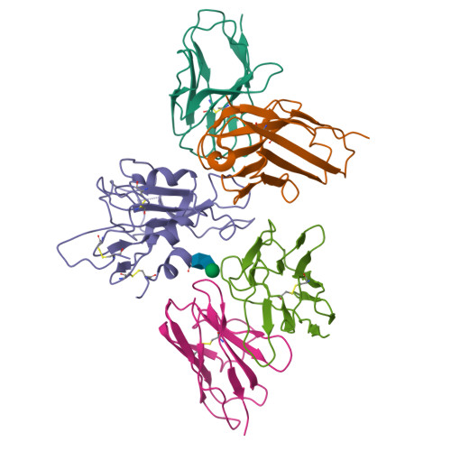 RCSB PDB - 8IV8: Cryo-EM structure of SARS-CoV-2 spike protein in ...