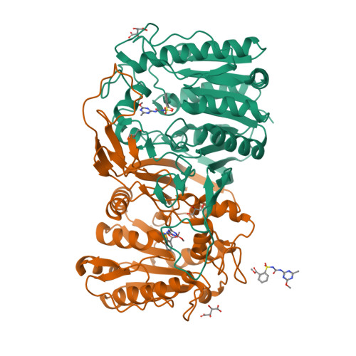RCSB PDB - 8IVM: crystal structure of SulE mutant