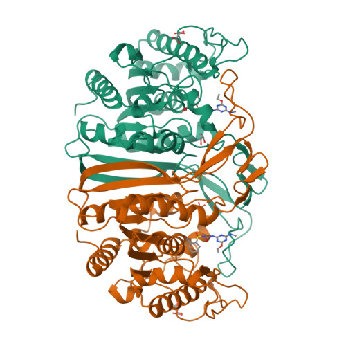 RCSB PDB - 8IVS: crystal structure of SulE mutant
