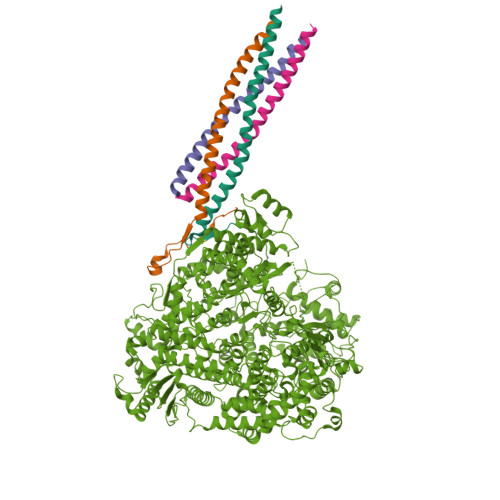 RCSB PDB - 8IZM: Structure of the Mumps Virus L Protein (state2) Bound ...