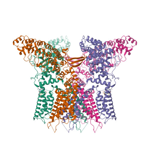 Transient receptor potential cation channel subfamily V member 4 structure