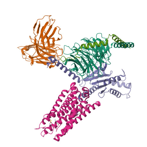 PDB 8J20