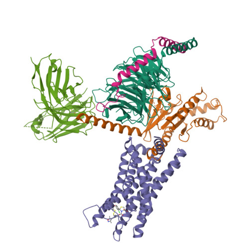 PDB 8J22