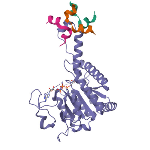 RCSB PDB - 8J28: GK monomer complexes with G5P and ADP