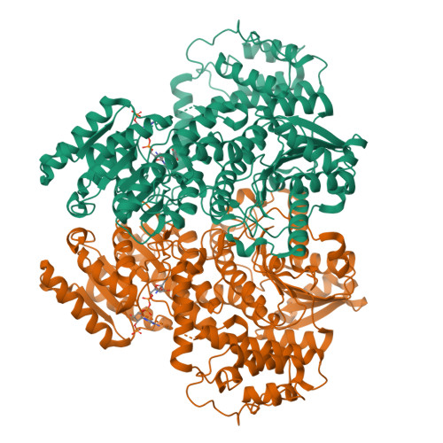 RCSB PDB - 8J2D: Structure of the C-terminal subenzyme of the
