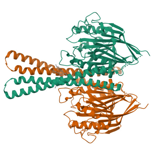 Sphingomyelin phosphodiesterase 2 structure