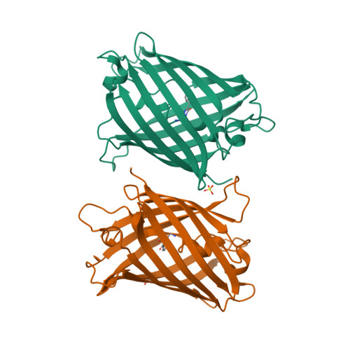 RCSB PDB - 8J2J: Crystal structure of a bright green fluorescent