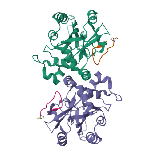 RCSB PDB - 8J3S: Complex structure of human cytomegalovirus protease ...