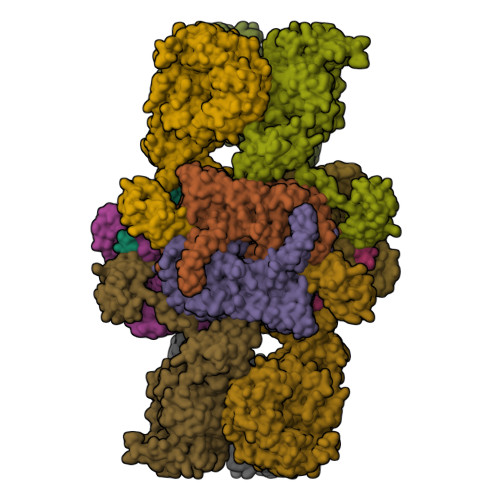PDB 8J4Z