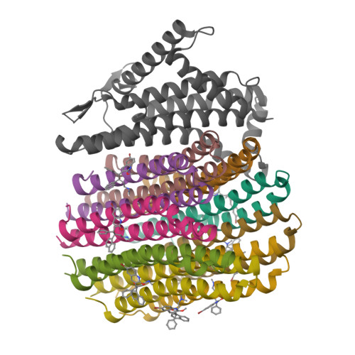 RCSB PDB - 8J57: Cryo-EM structure of Mycobacterium