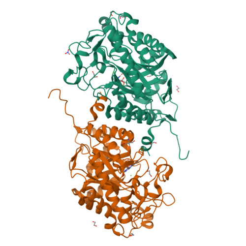 Rcsb Pdb J The Structure Of A Novel Thermophilic Like Old Yellow Enzyme From Aspergillus