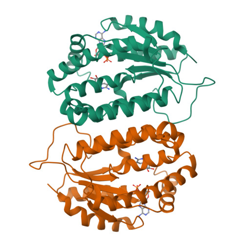 RCSB PDB - 8J5F: Crystal structure of kinase AbmG in complex with ...