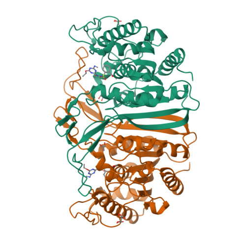 RCSB PDB - 8J7L: crystal structure of SulE mutant