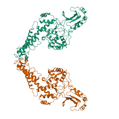 RCSB PDB - 8J88: Asfv topoisomerase 2 - apo conformer Ib
