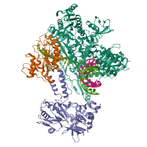 RCSB PDB - 8J8G: Monkeypox virus DNA replication holoenzyme F8