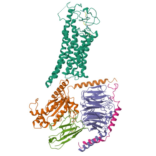 PDB 8J9N