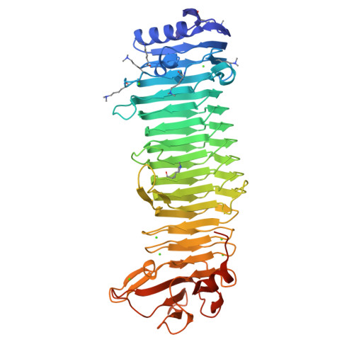 RCSB PDB - 8JAZ: Structure of the alginate epimerase/lyase complexed ...